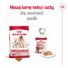 ROYAL CANIN SHN Medium Adult - trockenfutter für Hunde - 15kg - Fotogalerie 4