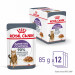 ROYAL CANIN Appetit Control Stücke in Sauce - Nassfutter für Katzen - 12 x 85g - Fotogalerie 13