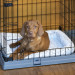 FERPLAST Superior 90 - Hundekäfig - 92 x 58,5 x 62,5 cm - Fotogalerie 9