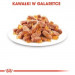 Royal Canin FHN Kitten Instinctive in Sauce - Nassfutter für Kätzchen - 12x85g - Fotogalerie 6