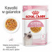 Royal Canin FHN Kitten Instinctive in Sauce - Nassfutter für Kätzchen - 12x85g - Fotogalerie 11