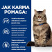 HILL'S PD Gastrointestinal Biome - Trockenfutter für Katzen - 1,5 kg - Fotogalerie 4