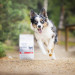 RAW PALEO Ultra Medium&Large Puppy Beef – Trockenfutter für Welpen – 10 kg - Fotogalerie 3