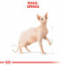 Royal Canin Sphynx Trockenfutter für Katzen 2 kg - Fotogalerie 12