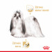 ROYAL CANIN Shih Tzu Adult Nasses Hundefutter Pastete 12x85 g - Fotogalerie 8