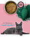 3COTY Turkey with spirulina - nassfutter für Katzen - 80g - Fotogalerie 8