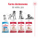 ROYAL CANIN SHN Medium Adult - trockenfutter für Hunde - 15kg - Fotogalerie 6