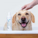 VET EXPERT Hypoallergenes Shampoo – Shampoo für Hunde und Katzen – 250 ml - Fotogalerie 2