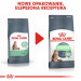ROYAL CANIN Digestive Care Adult - trockenfutter für Katzen - 400g - Fotogalerie 14