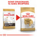 ROYAL CANIN Jack Russell Adult Trockenfutter für Hunde - 1,5 kg - Fotogalerie 2
