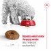 ROYAL CANIN Mini Ageing Adult +12 - Trockenfutter für Hunde - 3,5 kg - Fotogalerie 6