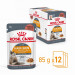 ROYAL CANIN Hair & Skin Care - nassfutter für Katzen - 12x85g - Fotogalerie 1