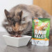 RAW PALEO Adult Cat Turkey – Nassfutter für Katzen – 100 g - Fotogalerie 3