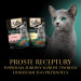 SHEBA Kitten Selection of Flavours in Sauce - Nassfutter für Katzen - 40x85 g - Fotogalerie 12