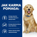 Hill's Prescription Diet j/d Canine 12kg - Fotogalerie 4