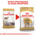 ROYAL CANIN Bulldog Adult - Trockenfutter für Hunde - 12 kg - Fotogalerie 2