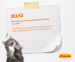 JOSERA Hühnersuppe mit Karotten und Spinat - Nassfutter für Katzen - 70 g - Fotogalerie 2