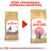Royal Canin British Shorthair Kitten Katzen-Trockenfutter 2 kg Geflügel, Reis, Gemüse - Fotogalerie 4
