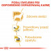 ROYAL CANIN Chihuahua - Paket 12x85g - Fotogalerie 6