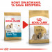 Royal Canin BHN Shih Tzu Adult -.Trockenfutter für ausgewachsene Hunde - 7.5kg - Fotogalerie 3