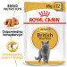 ROYAL CANIN British Shorthair Paket 12x85g - Fotogalerie 8