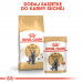 ROYAL CANIN British Shorthair Paket 12x85g - Fotogalerie 2