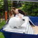 FERPLAST Rabbit 120 - Käfig - Fotogalerie 9