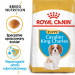 Royal Canin BHN Cavalier King Charles Spaniel Puppy - Trockenfutter für Welpen - 1,5 kg - Fotogalerie 9