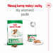 ROYAL CANIN Mini Ageing Adult +12 - Trockenfutter für Hunde - 3,5 kg - Fotogalerie 5