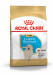 ROYAL CANIN Golden Retriever Puppy - Trockenfutter für Hunde - 12 kg - Fotogalerie 1