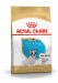 ROYAL CANIN French Bulldog Puppy - Trockenfutter für Hunde - 3 kg - Fotogalerie 1