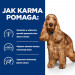 HILL's Prescription Diet Food Sensitivites z/d - Trockenfutter für Hunde - 10 kg - Fotogalerie 6