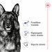 ROYAL CANIN Maxi Adult - Trockenfutter für Hunde - 15 kg - Fotogalerie 2
