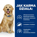 Hill's Prescription Diet j/d Canine 12kg - Fotogalerie 3