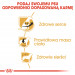 Futter Royal Canin SHN Rasse Cavalier K C 1,5 kg - Fotogalerie 6