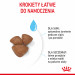 ROYAL CANIN SHN Mini Starter Mother & Babydog - Trockenfutter für Hunde - 4 kg - Fotogalerie 12