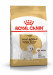 Royal Canin BHN West Highland White Terrier Adult - Trockenfutter für ausgewachsene Hunde - 3kg - Fotogalerie 1