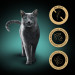 SHEBA Nature's Collection Mix - Nassfutter für Katzen - 40x85g - Fotogalerie 17