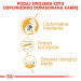 Royal Canin Bengal Adult Katzen-Trockenfutter 2 kg Geflügel, Gemüse - Fotogalerie 6