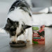ANIMAL ISLAND Everyday Monoprotein Turkey - Nassfutter für Hunde - 300g - Fotogalerie 3