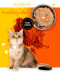 3COTY Chicken with krill - nassfutter für Katzen - 6x80g - Fotogalerie 6