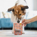 PERRO Daj dwa Deer - leckerli für hunde - 85g - Fotogalerie 2