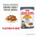 ROYAL CANIN Hair & Skin Care - nassfutter für Katzen - 12x85g - Fotogalerie 6