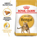 ROYAL CANIN FBN Bengal Adult - Trockenfutter für Katzen - 10kg - Fotogalerie 7