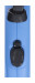 Flexi New Classic Hund Rückziehbare Leine 8 m - Fotogalerie 6