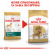 ROYAL CANIN BHN Golden Retriever Trockenfutter für Hunde - 12kg - Fotogalerie 3