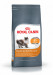 ROYAL CANIN Hair&Skin Care Adult - trockenfutter für Katzen - 400g - Fotogalerie 12