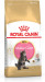 ROYAL CANIN Maine Coon Kitten - Trockenfutter für Katzen - 4 kg - Fotogalerie 10