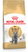 ROYAL CANIN British Shorthair FBN Adult - trockenfutter für Katzen - 400g - Fotogalerie 1