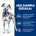 HILL'S PRESCRIPTION DIET Urinary Care Canine u/d Hundetrockenfutter 10 kg - Fotogalerie 2